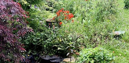 Les histoires d'eau du jardin...