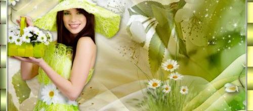 Qui veut des fleurs...