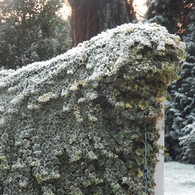 Entracte pour "Halloween" ...