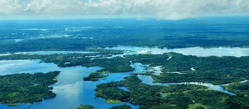 "Chère Amazonie": la nouvelle exhortation du Pape François