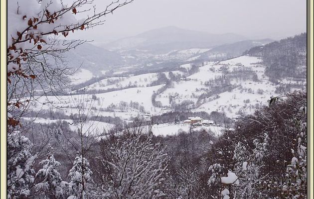 Paysages des Pyrénées (Année 2010)