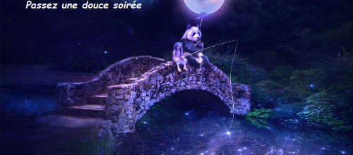 Bonne soirée