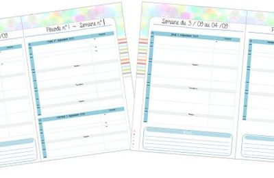 Cahier journal v2_2015 (PES)