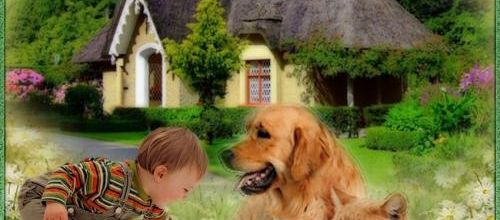  Pas d'abandons svp .