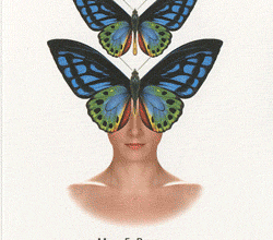 Jenna Fox, pour toujours / Mary E. Pearson