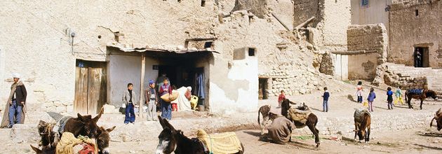 L'Algérie, ce pays que les jeunes  appelés français ont découvert en guerre