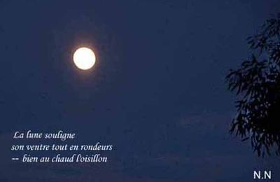Visages de lune