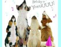 4 ans déjà !