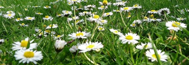 Du parc au quartier St-Leu 