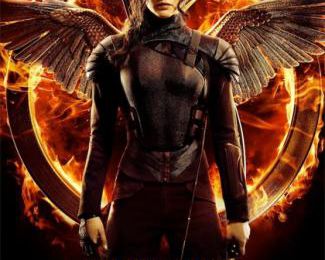 BOX OFFICE ITALIE HEBDO DU 17 NOVEMBRE 2014 AU 23 NOVEMBRE 2014