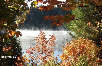 Les résultats du Café Thé n° 83 - Brume sur le lac...