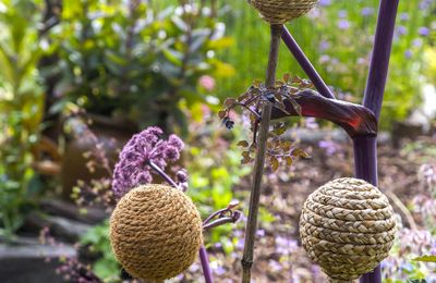 Des Tuteurs qui ne se Cachent plus !