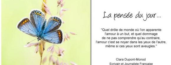 La pensée du jour (105)