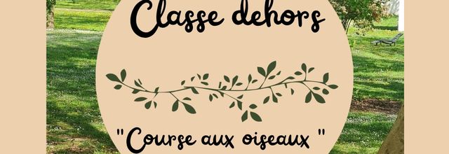 Classe dehors : les oiseaux 
