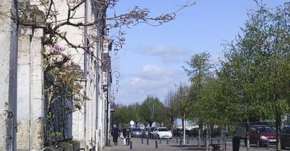 La glycine de Saumur - The wistaria of Saumur