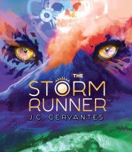 Ebooks free download deutsch pdf The Storm Runner
