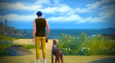 [Chiens & chats] Promenade dans la Crique du cavalier