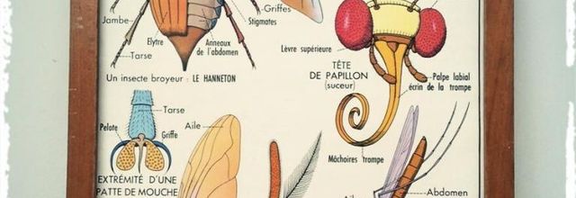 De deux en deux à qui mieux mieux (poème)