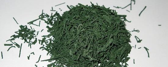 La spiruline : l’algue 100 % bienfaits 