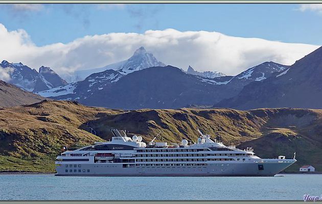 Le Lyrial ancré dans la baie Cumberland - Grytviken - Géorgie du Sud