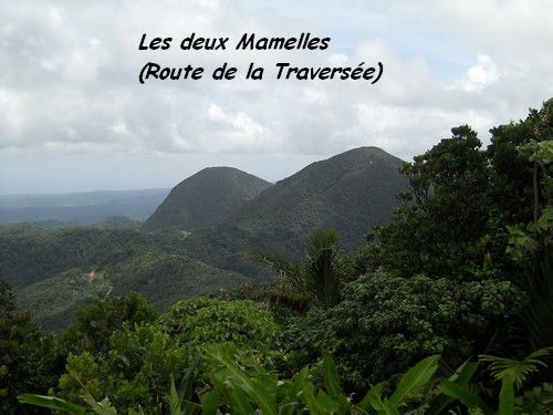 Vacances à la Guadeloupe (4)