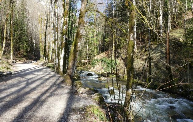 CASCADES  DU  HERISSON