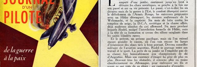 Journal d'un Pilote