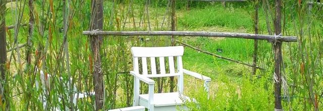  le jardin du moyen âge  à nos jours  ( suite )