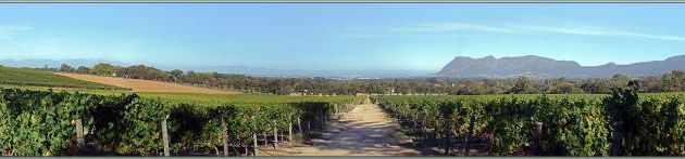 Etape dégustation de vins à Groot Constantia et visite de son manoir, le plus vieux domaine agricole d'Afrique du Sud