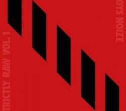 Boys Noize sort ses duos en son brut : Strictly Raw Vol1