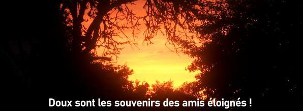 Les amis éloignés  - Citation en image