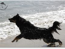 Toujours partant pour un petit bain !