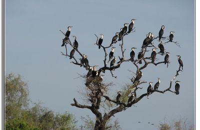 UN PETIT TOUR AU SENEGAL 2023
