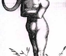 Eléphant