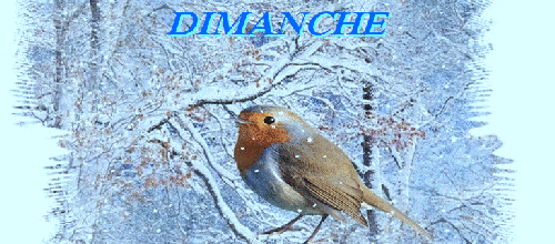 REFLEXION DE LA SEMAINE   12/01/2014