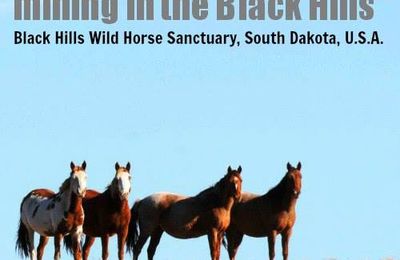 Black Hills Wild Horse Sanctuary