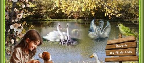Rêverie au fil de l'eau .