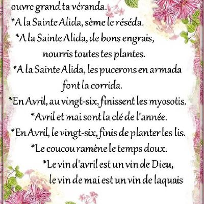 Dictons et Fête du jour Alida + grille prénom    !