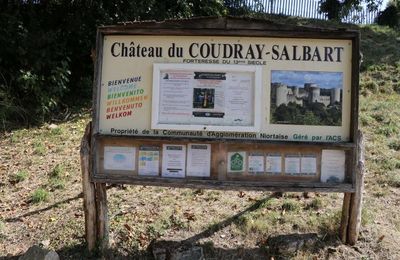 CHÂTEAU-FORT DU COUDRAY-SALBART (Deux-Sèvres) (1/2)