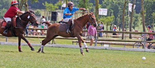 Champion de polo
