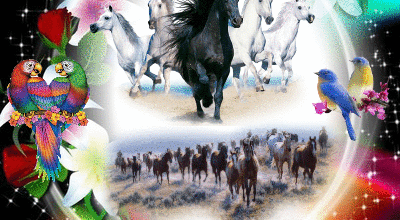 CADRE CHEVAUX OISEAUX