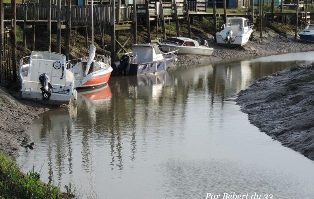 Bateaux à Mornac !