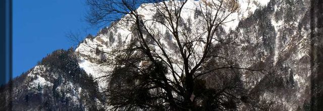 Silhouettes hivernales
