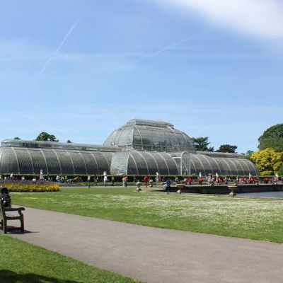 Royal Botanic gardens  Kew  mi mai  1/3