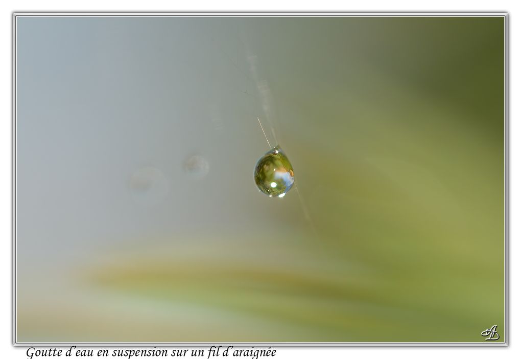 02 - Gouttes d'eau