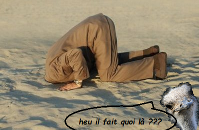 Faire l'Autruche