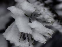 Vent et neige... 
