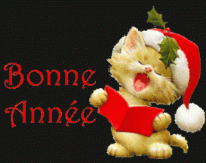 BONNE  ANNEE  2015
