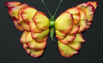 Une ode à la nature ... 