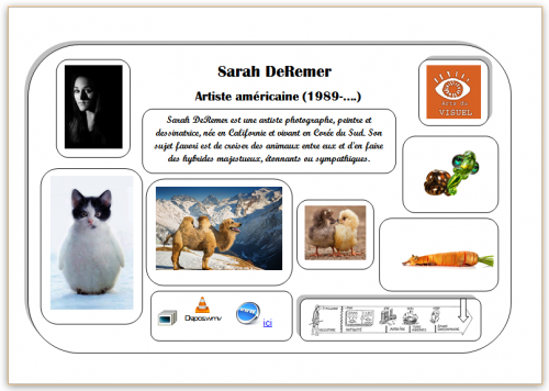 Carte Hda Sarah DeRemer
